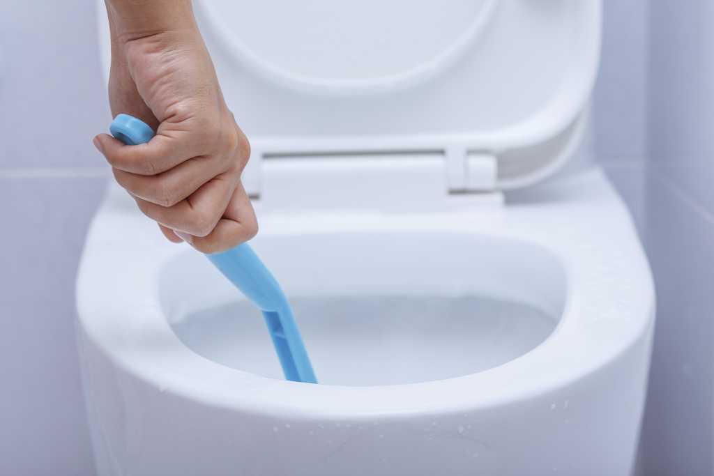coronavirus toilet cleaning